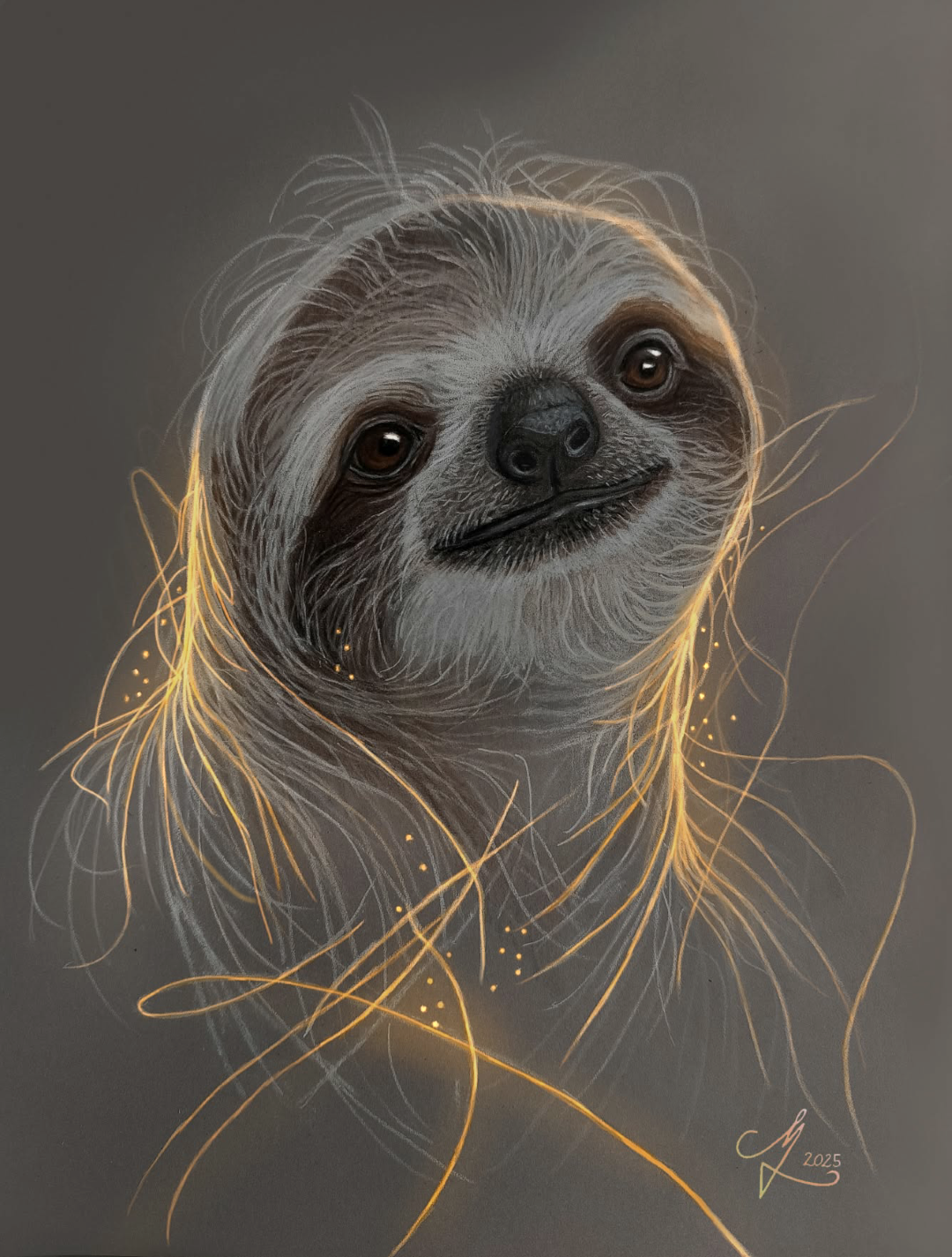 A Slothmas Gift For You — The Sloth Conservation Foundation